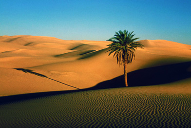 3 días Tours From Fes To Marrakech Via Merzouga